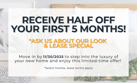 image for /shared/images/isabella-court-popup-o2wttxej.png