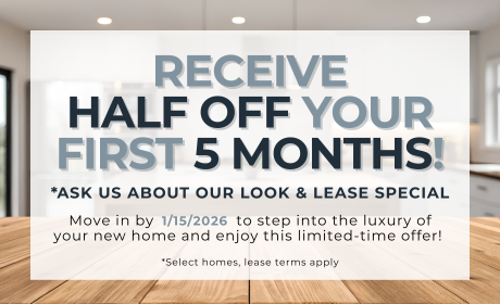 image for /shared/images/isabella-court-popup-wnwje0h5.png